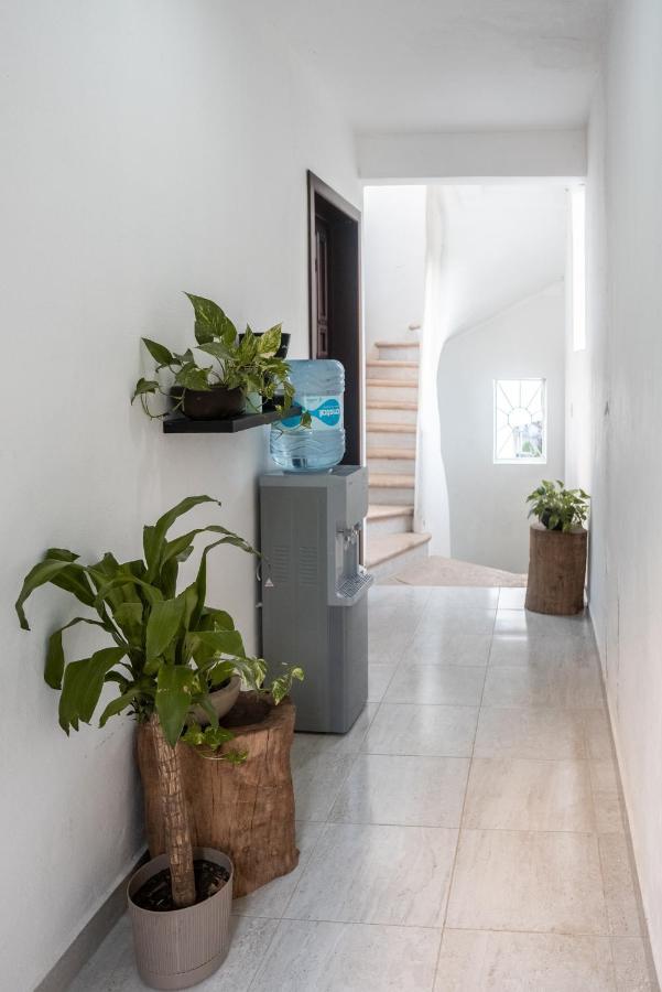 Xiinbal Rooms Bacalar Exterior photo